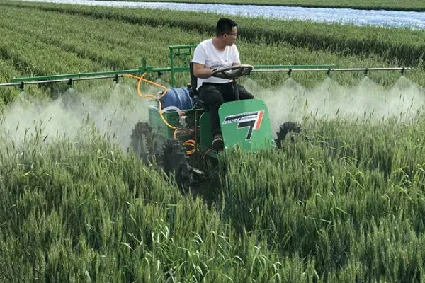 小麦赤霉病如何防治，需在不同时期用药