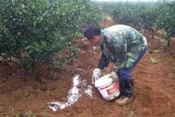 春季果园管理方法,开化前后应结合施肥进行浇水
