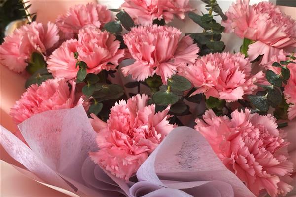 代表毕业的花有哪些，是指栀子花