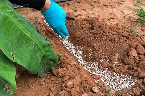 都有哪些碱性肥料,主要有硝酸钠、草木灰等