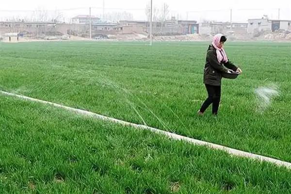 都有哪些碱性肥料,主要有硝酸钠、草木灰等