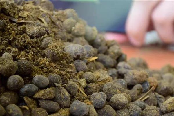 都有哪些碱性肥料,主要有硝酸钠、草木灰等