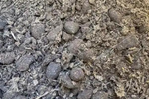 都有哪些碱性肥料,主要有硝酸钠、草木灰等