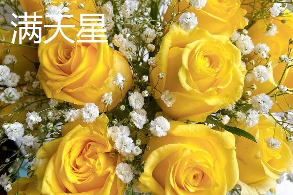 7朵黄玫瑰的花语,寓意偷偷爱着你