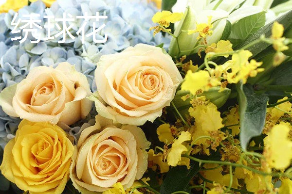 7朵黄玫瑰的花语,寓意偷偷爱着你