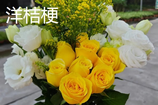 7朵黄玫瑰的花语,寓意偷偷爱着你