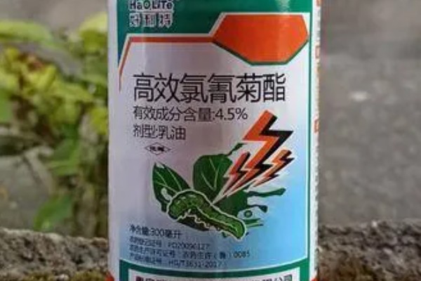 高效氯氰菊酯的使用方式，针对不同害虫的使用方法不同