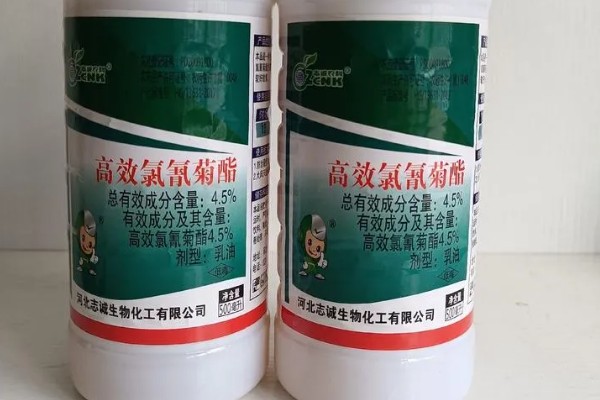高效氯氰菊酯的使用方式，针对不同害虫的使用方法不同