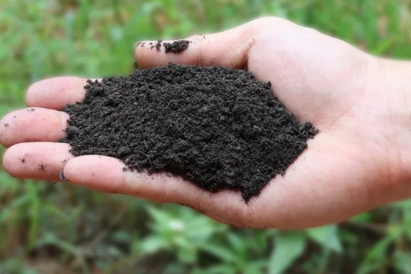 有机肥是什么,也被称为农家肥