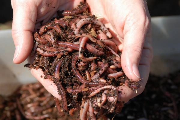 海竿钓鲶鱼的绝招，鱼竿可用2.1-3.6米的海竿