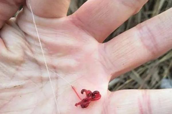 海竿钓鲶鱼的绝招，鱼竿可用2.1-3.6米的海竿