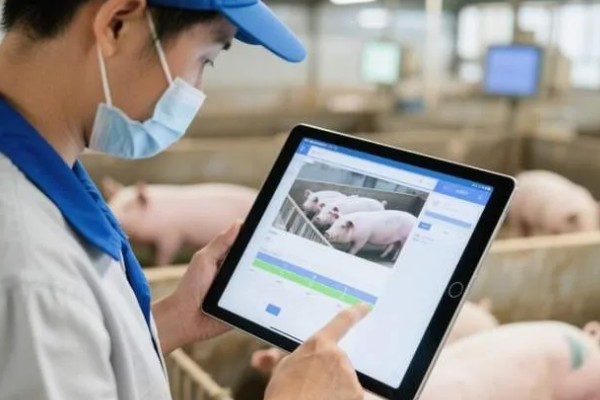 淡水主要养殖品种，包括鱼类、甲壳类等