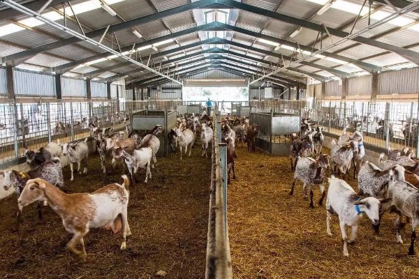 淡水主要养殖品种，包括鱼类、甲壳类等