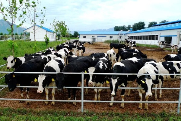 淡水主要养殖品种，包括鱼类、甲壳类等