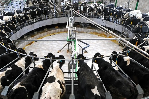 淡水主要养殖品种，包括鱼类、甲壳类等