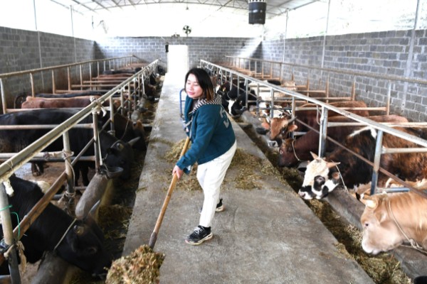 淡水主要养殖品种，包括鱼类、甲壳类等