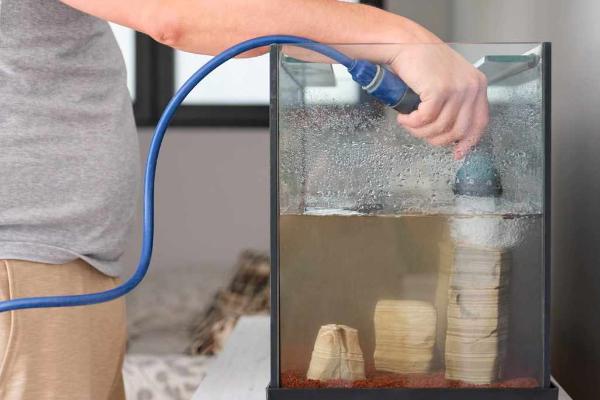 什么因素会影响金鱼的健康,季节气候、水温水质等条件都会造成影响