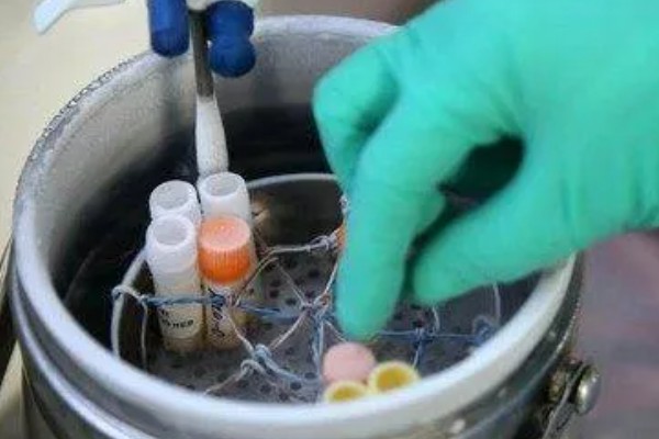 人工配牛操作方法,按以下步骤逐一进行