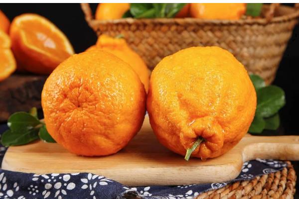 春见和丑橘有什么区别,成熟时间、果皮、果形均不同