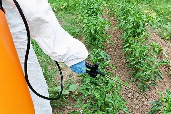 海藻有机肥的优点，有机质和微量元素含量多