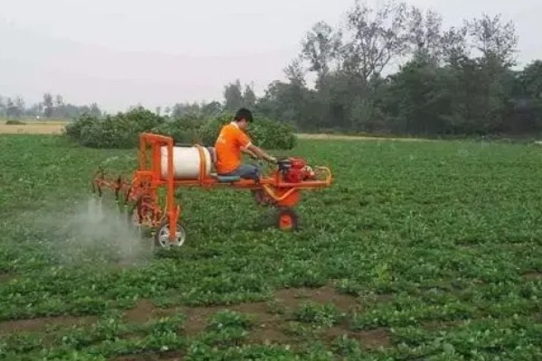 海藻有机肥的优点，有机质和微量元素含量多