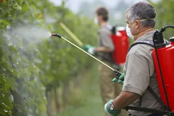 海藻有机肥的优点，有机质和微量元素含量多