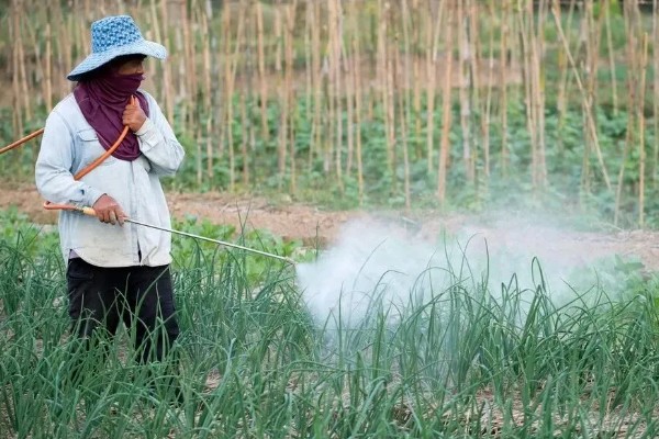 海藻有机肥的优点，有机质和微量元素含量多