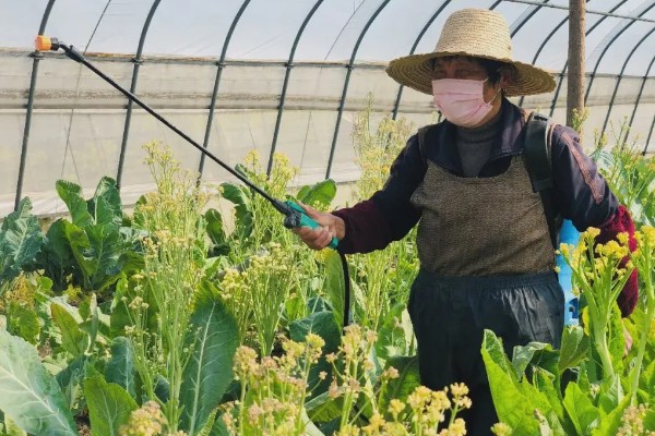 海藻有机肥的优点，有机质和微量元素含量多