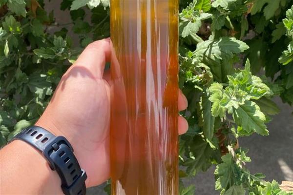 诱蜂水可以诱来蜜蜂吗,可以诱来蜜蜂