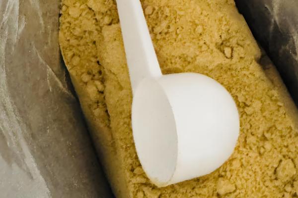 鸽子出壳第一天的喂食方法，主要以进食亲鸽嗉囊内的鸽乳为主