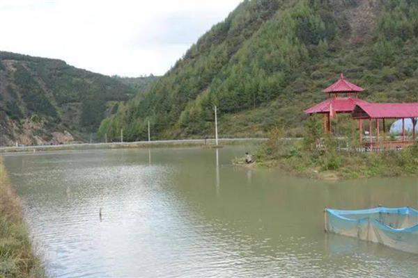 怎么提高螃蟹的产量,投喂动物类蛋白质饵料可为它们补充营养