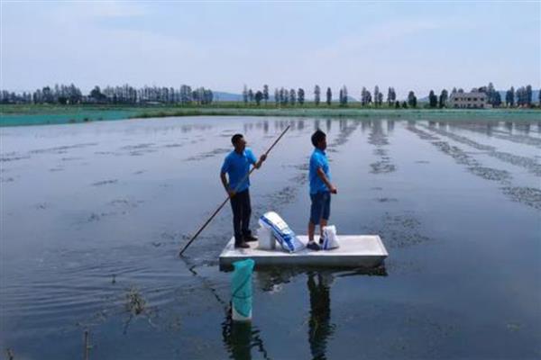 怎么提高螃蟹的产量,投喂动物类蛋白质饵料可为它们补充营养