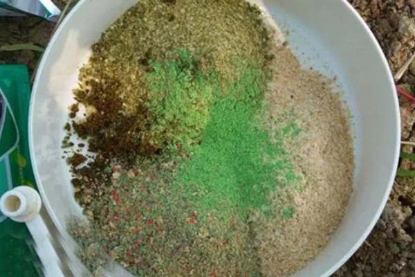 初夏怎么钓鱼,提前打窝钓浅水区