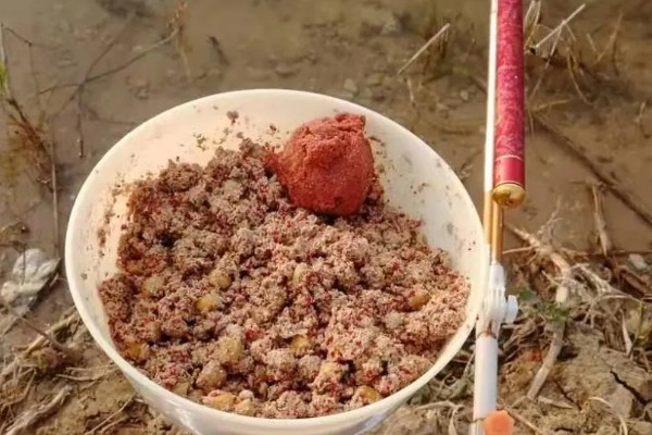 初夏怎么钓鱼,提前打窝钓浅水区