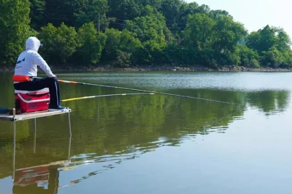 初夏怎么钓鱼,提前打窝钓浅水区