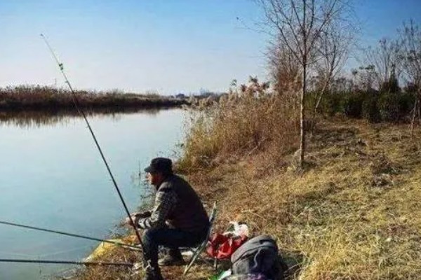 初夏怎么钓鱼,提前打窝钓浅水区