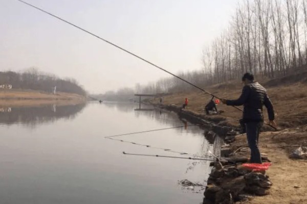 初夏怎么钓鱼,提前打窝钓浅水区