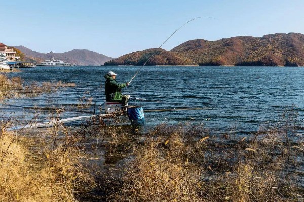 初夏怎么钓鱼,提前打窝钓浅水区