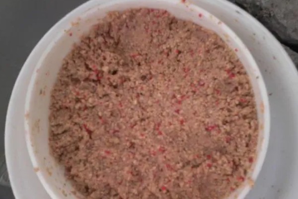 初夏怎么钓鱼,提前打窝钓浅水区