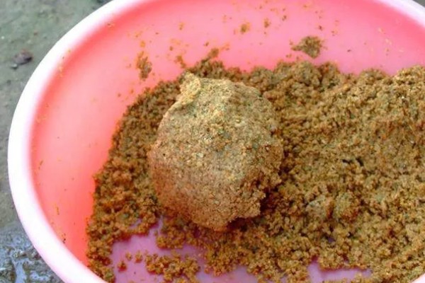 初夏怎么钓鱼,提前打窝钓浅水区