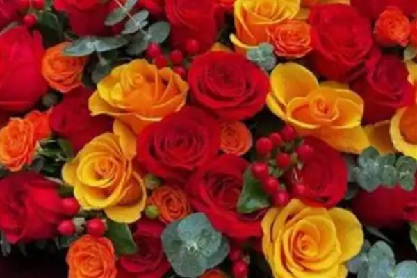 黄玫瑰和红玫瑰一起的寓意，代表希望你永远快乐