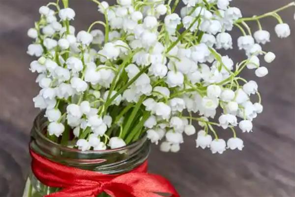 黄玫瑰和红玫瑰一起的寓意，代表希望你永远快乐