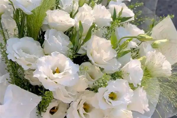 黄玫瑰和红玫瑰一起的寓意，代表希望你永远快乐