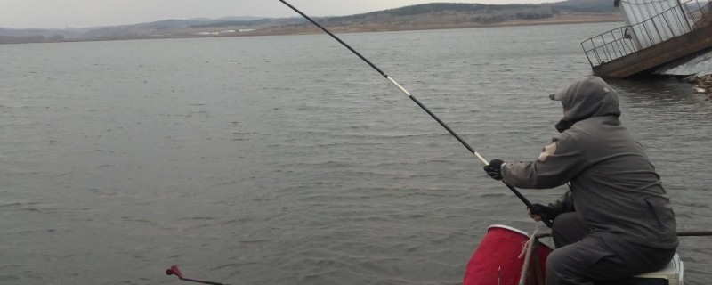 秋季能钓鲮鱼吗，是适合垂钓的一个时段