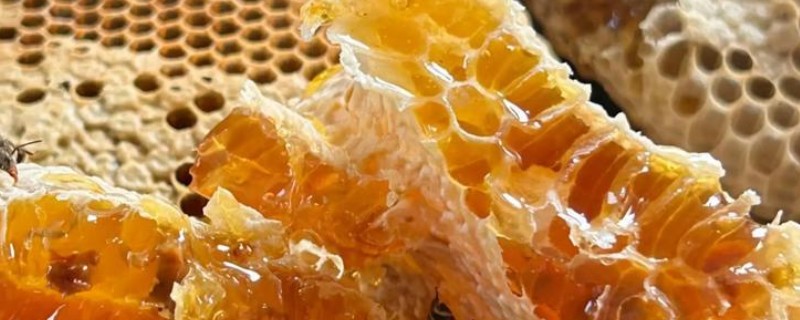 蜂巢蜜的价格，一般在60-100元一斤