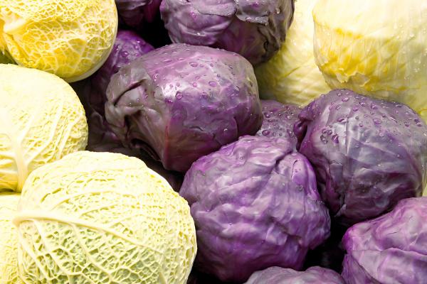 哪些蔬菜不用打理,常见韭菜、豆角等品种