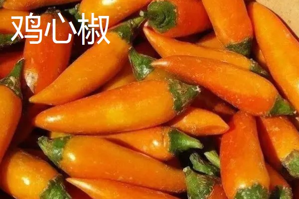 涮涮辣的辣度和产地,辣度为6000度