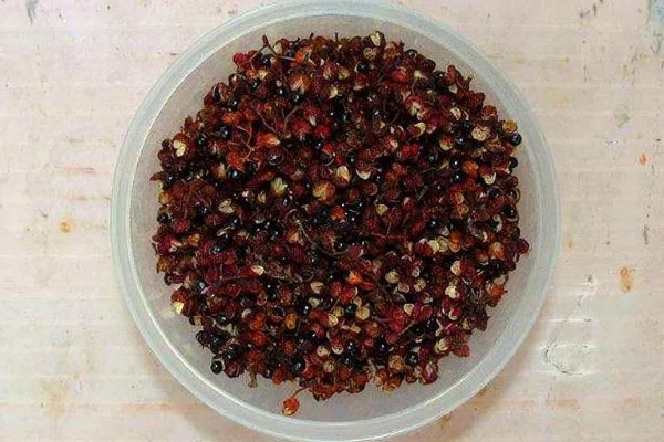 花椒种子播前常用的浸种催芽处理方式,包括开水烫种、碱水浸种等。