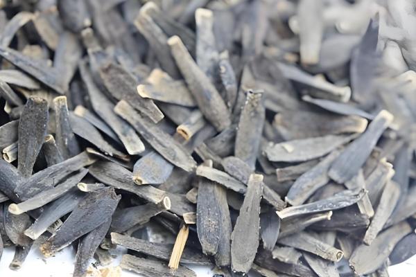 如何种矮化大丽花,在生长期间进行摘心的处理