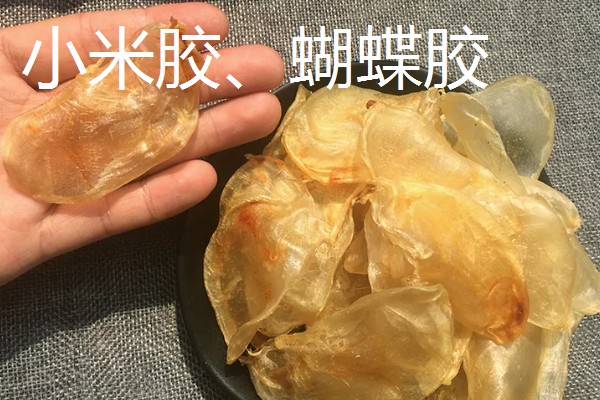 花胶是指什么，是指各类鱼鳔的干制品